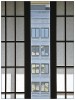 Window Shade